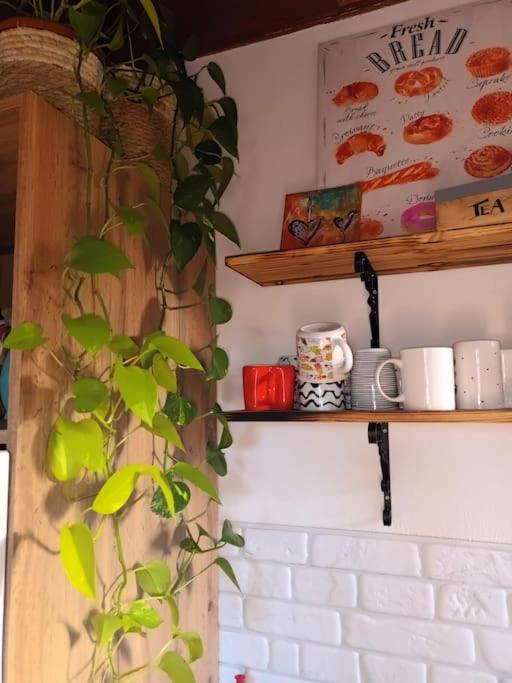 Kájov "Stone'S Throw" Krumlov 5 Min By Car, Lipno 15 Min By Car, 2 Bdrooms,Playroom מראה חיצוני תמונה