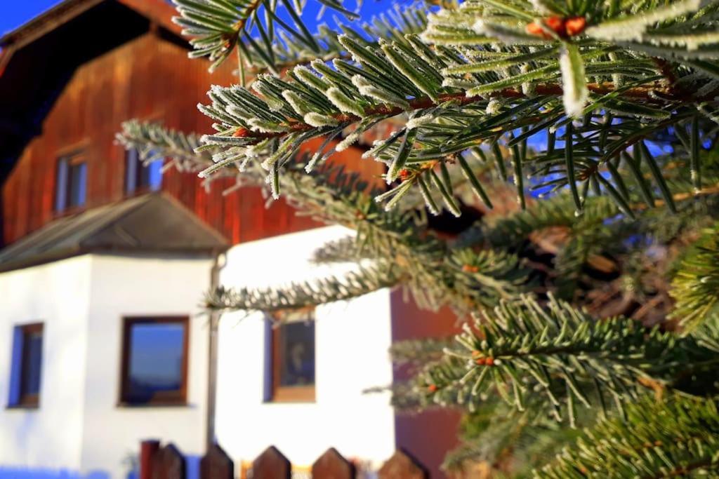 Kájov "Stone'S Throw" Krumlov 5 Min By Car, Lipno 15 Min By Car, 2 Bdrooms,Playroom מראה חיצוני תמונה
